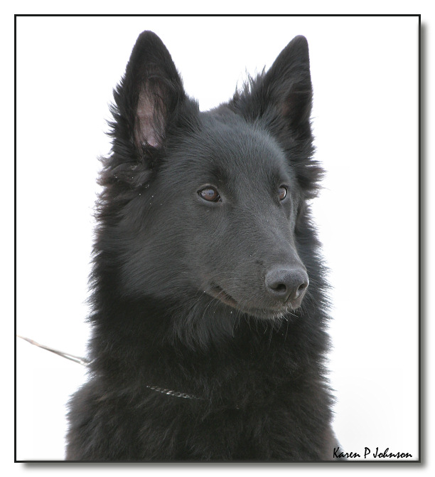 7 months old