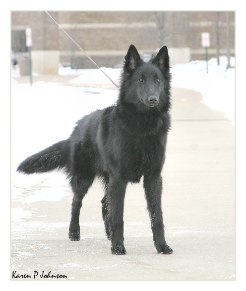 7 months old