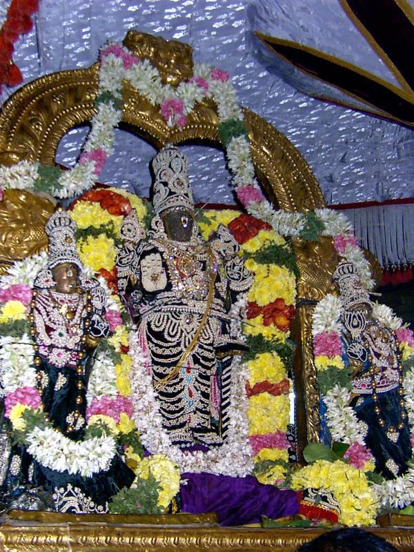 muththangi sevai-2