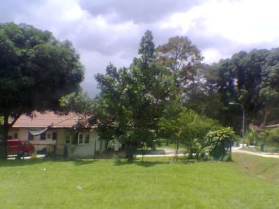 Along West Camp Road