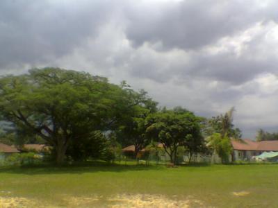 Along West Camp Road