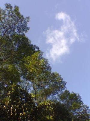 Old Jurong Road