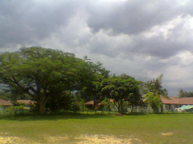 Along West Camp Road