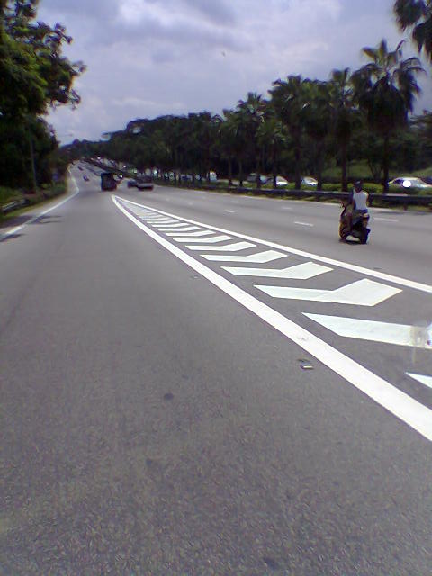 SLE