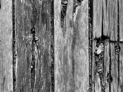 wood