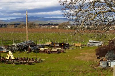 Livermore Landscape