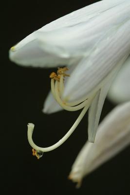 CRW_0057.jpg