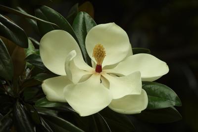 CRW_0075.jpg
