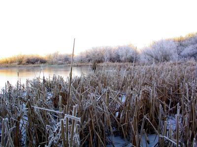 frozen_lake.jpg