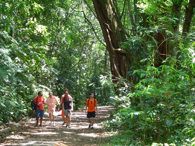 Um passeio de domingo entre amigos