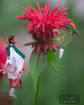 Monarda_2211.jpg