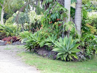 IslandBed.jpg