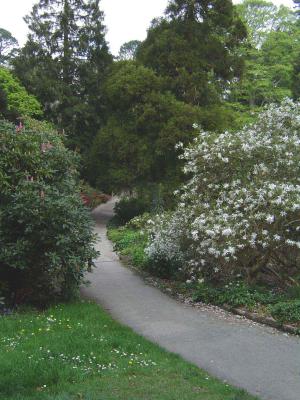 Trelissick National Trust Garden (UK)