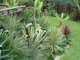 Another rockery aerial view 2nd May 2005