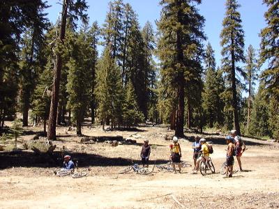 Rest Stop