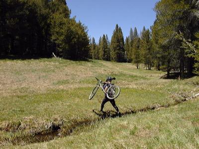 Near Albanita Trail