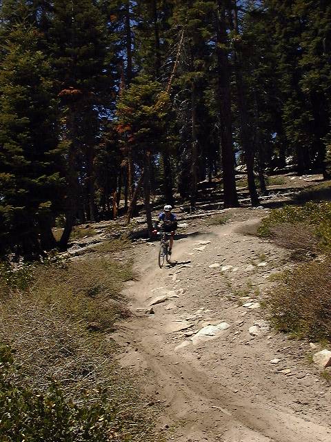 Albanita Trail