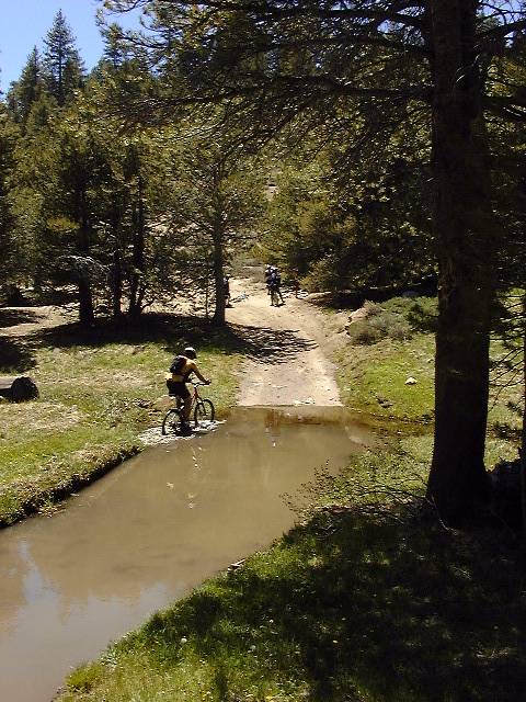 Near Albanita Trail