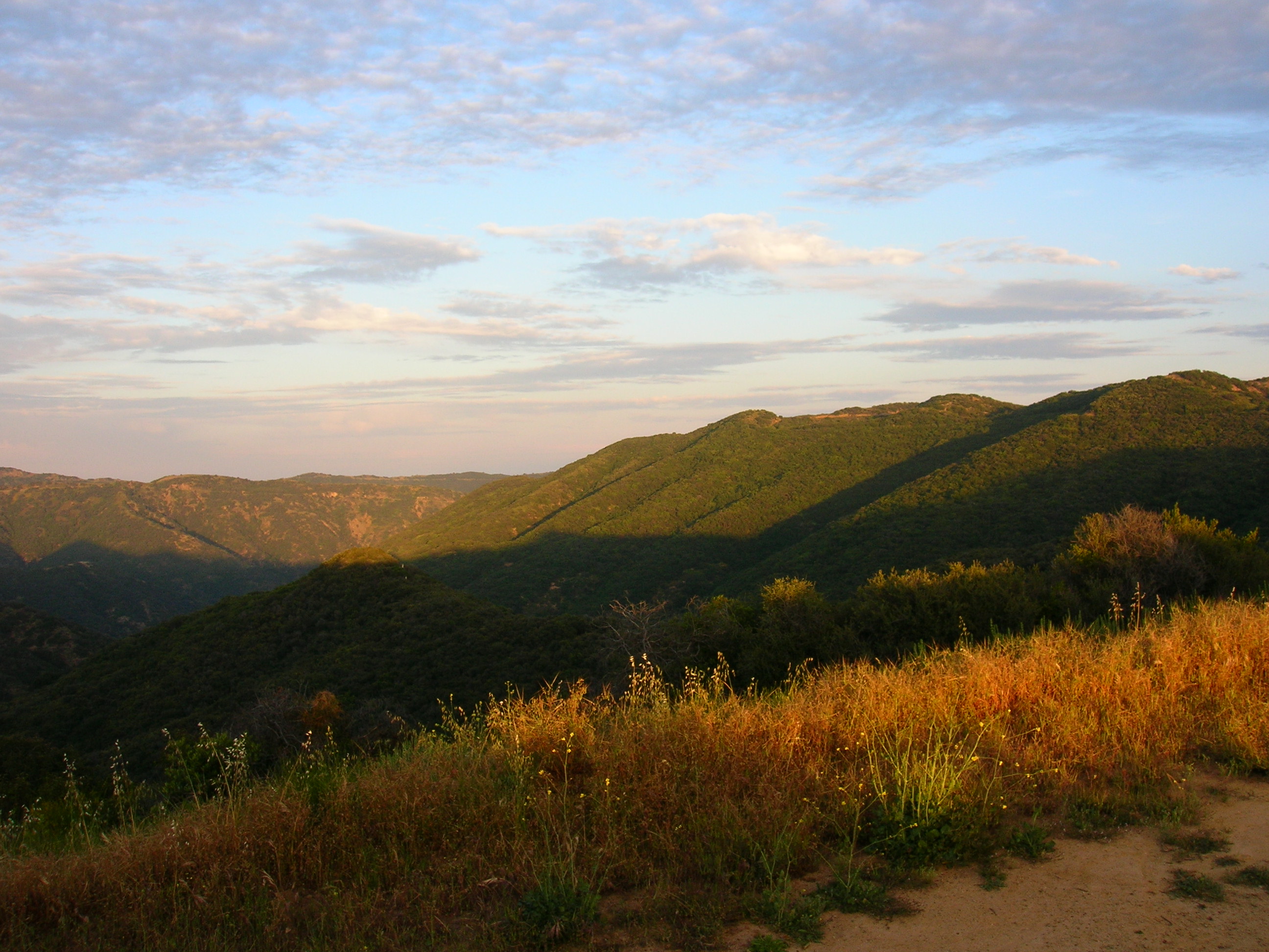 DSCN0006.JPG
