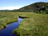 Musquodoboit Harbour Trailway.