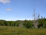 Musquodoboit Harbour Trailway.