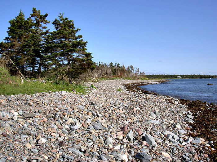 Lawrencetown Abandoned Railroad Trail.