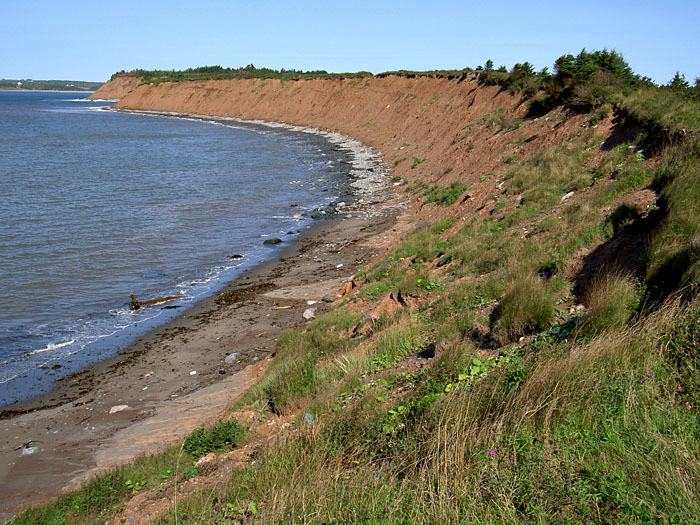 Lawrencetown Abandoned Railroad Trail.