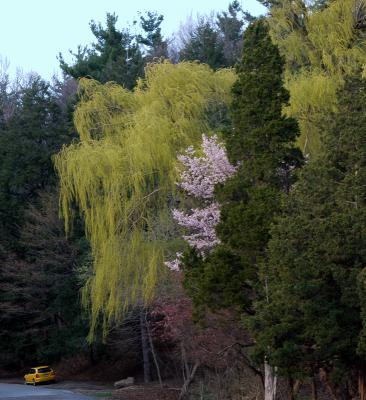 1 May 2005