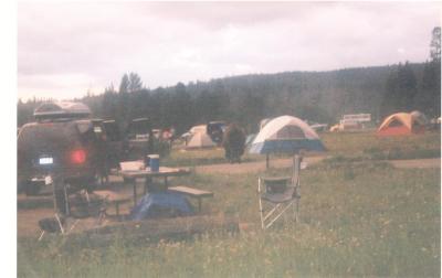 Camping Buffalo