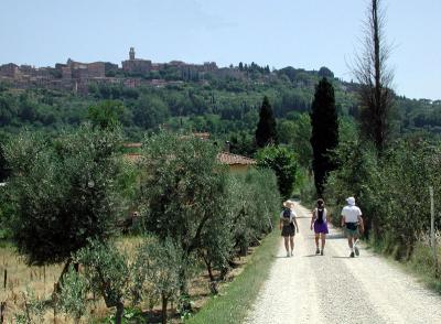 Getting closer to Montepulciano