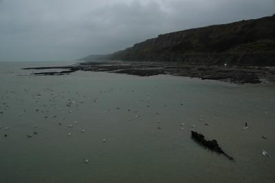 Looking eastward along the coast  from jettee in Port en Bassin