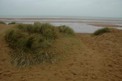 Omaha Beach