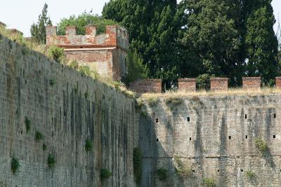 pisa14.jpg