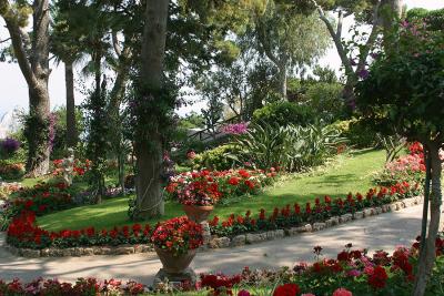 capri19.jpg
