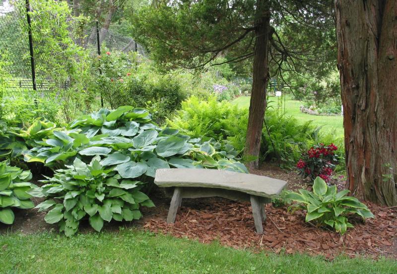 lovely-hosta-setting-IMG_19.jpg