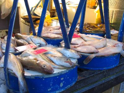 fish market in Ostend