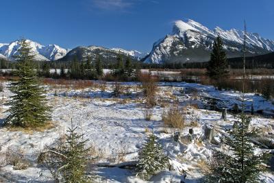 Bow Valley Winter 1