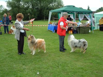 CC show London Collie Club 16/06/02