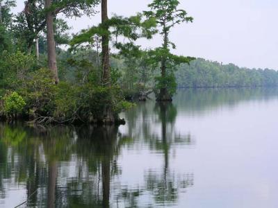 8975 Lake Drummond
