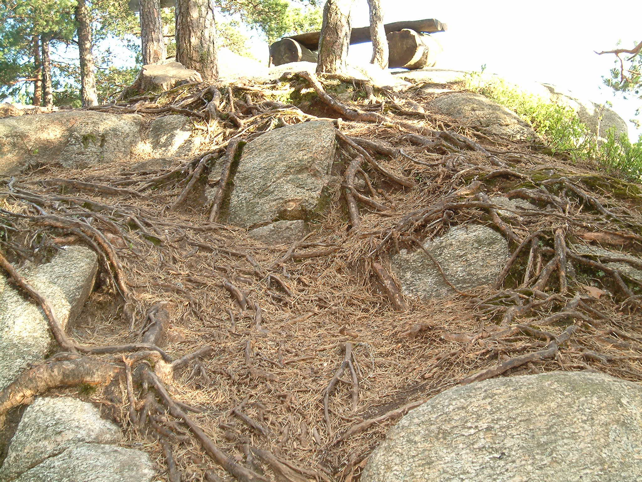 DSCF0043.JPG