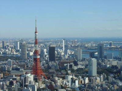 Fʶ Tokyo Tower  (30-12-2004)