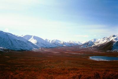 valley leading to the Tombstone Mtns