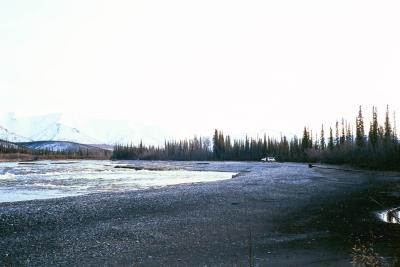 camping with the bears