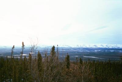 Yukon vistas