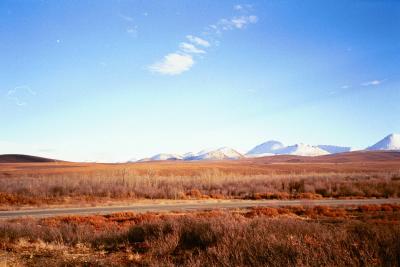 wide open plains