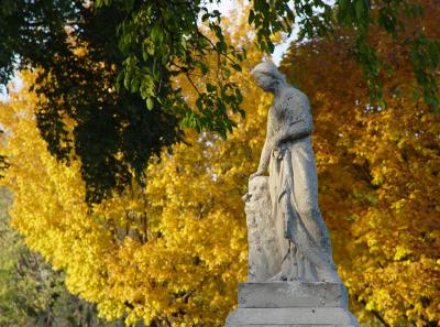 Graceland foliage