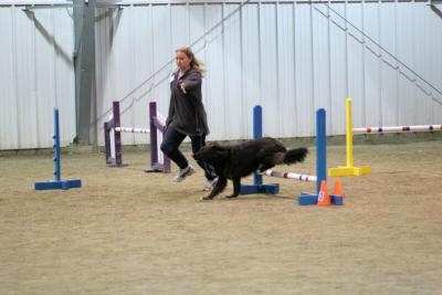 img_1913_std.jpg