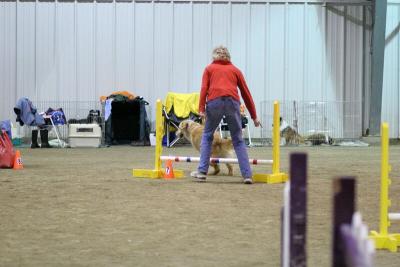 img_1923_std.jpg