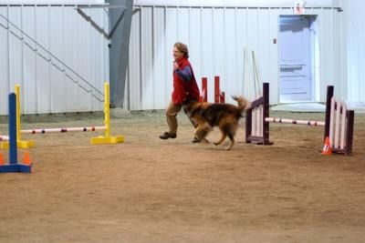 img_1930_std.jpg