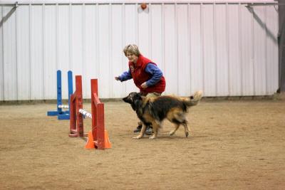 img_1931_std.jpg